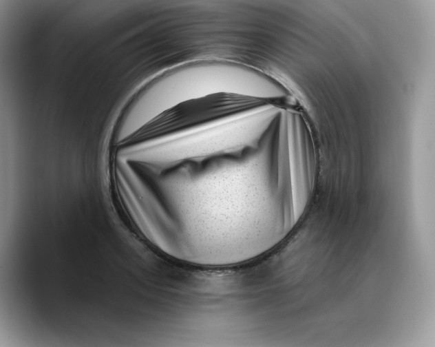 X0000089750939200707201919