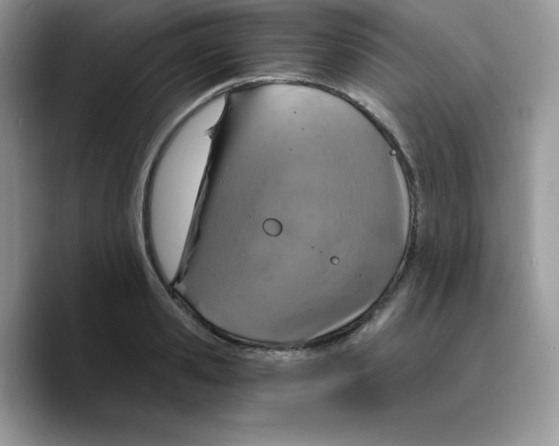 X0000089750941200707201919