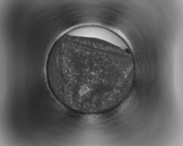 X0000089750943200707201919