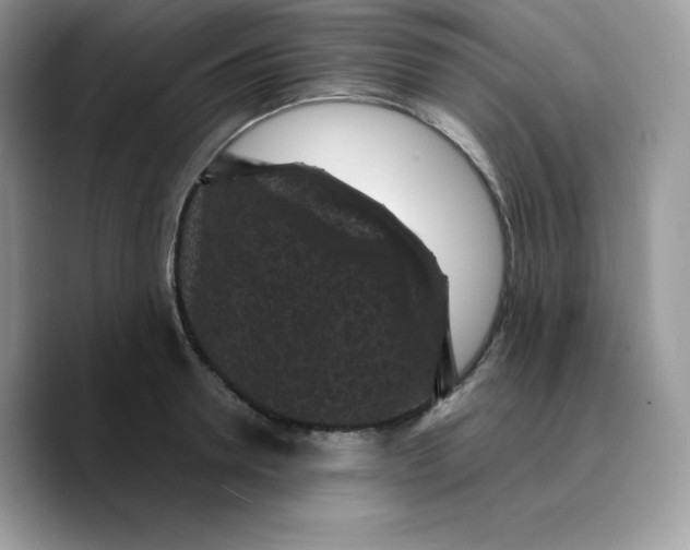 X0000089750946200707201919