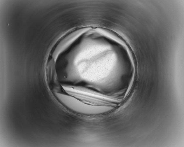 X0000089750949200707201919