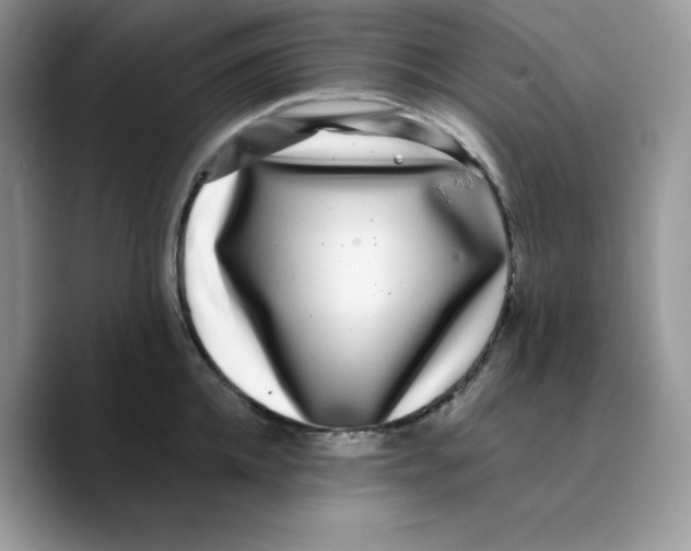 X0000089750952200707201919