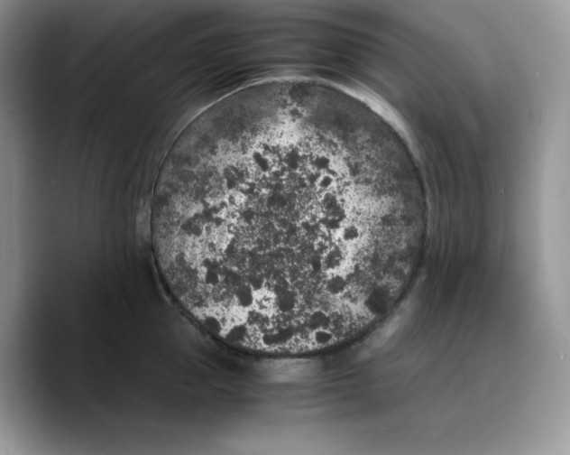 X0000089750953200707201919