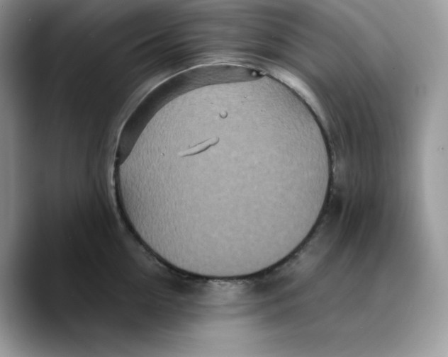 X0000089750954200707201919