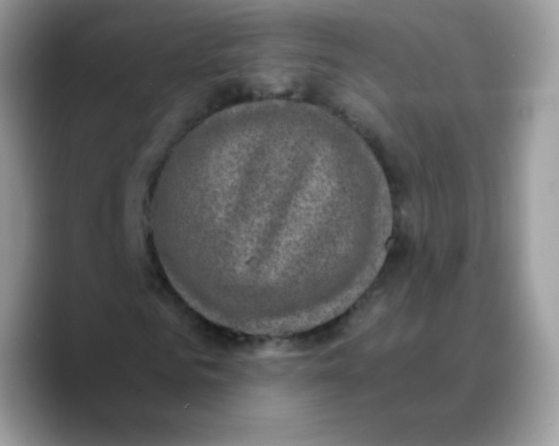 X0000089750961200707201919