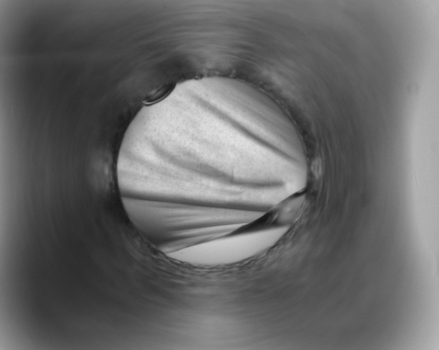 X0000089750963200707201919