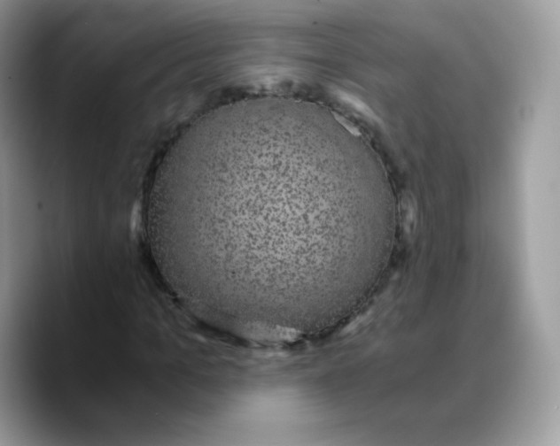 X0000089750965200707201919