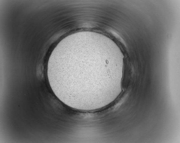 X0000089750970200707201919