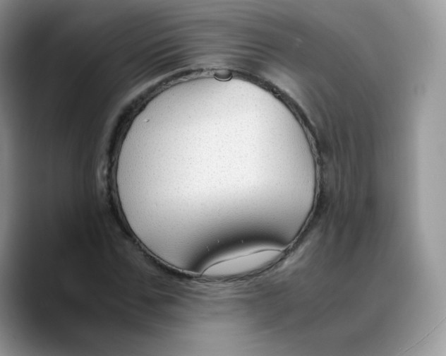 X0000089750971200707201919