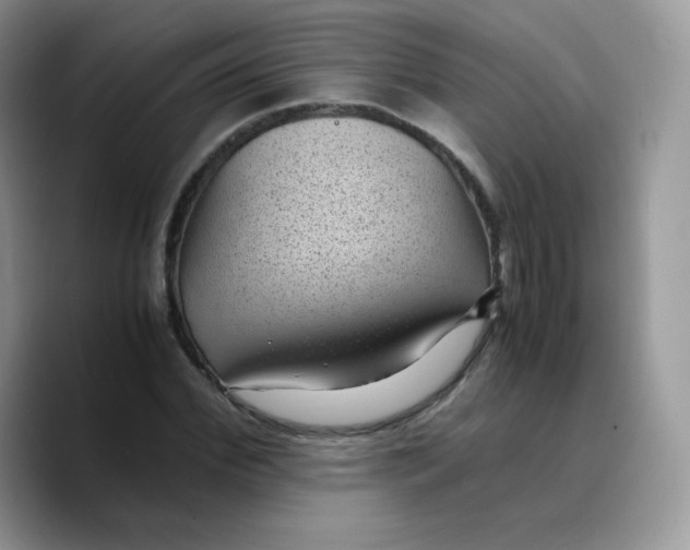 X0000089750972200707201919