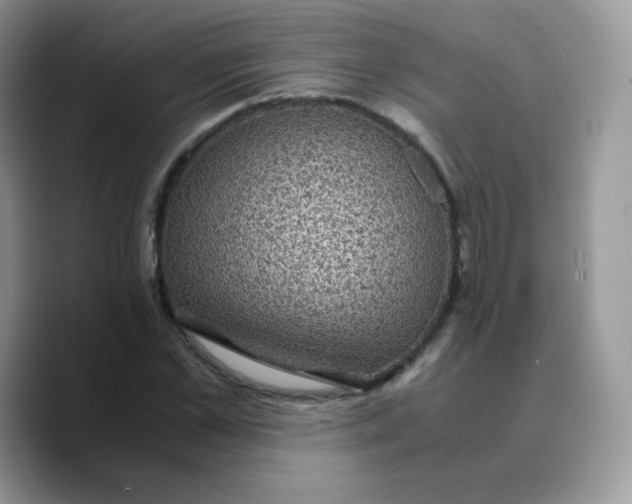 X0000089750973200707201919