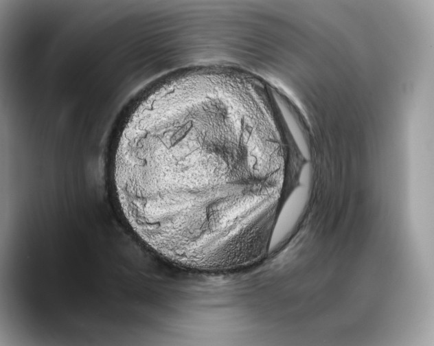 X0000089750975200707201919