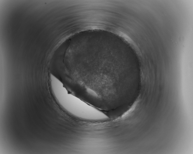 X0000089750977200707201919