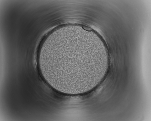 X0000089750979200707201919