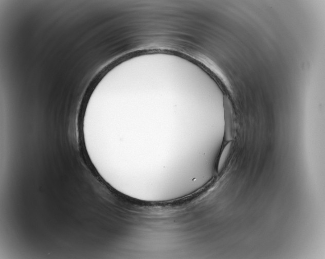 X0000089750980200707201918