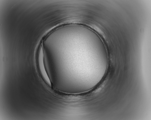 X0000089750981200707201918