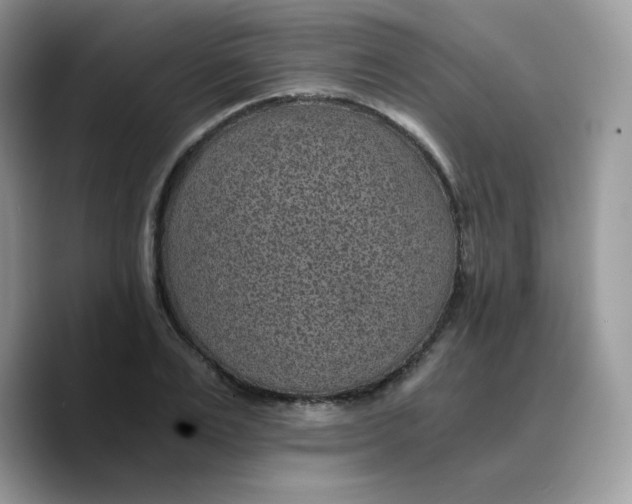 X0000089750983200707201918