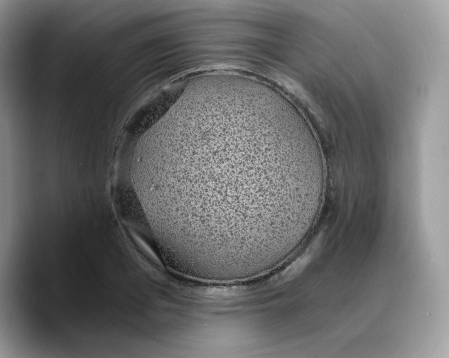 X0000089750985200707201918