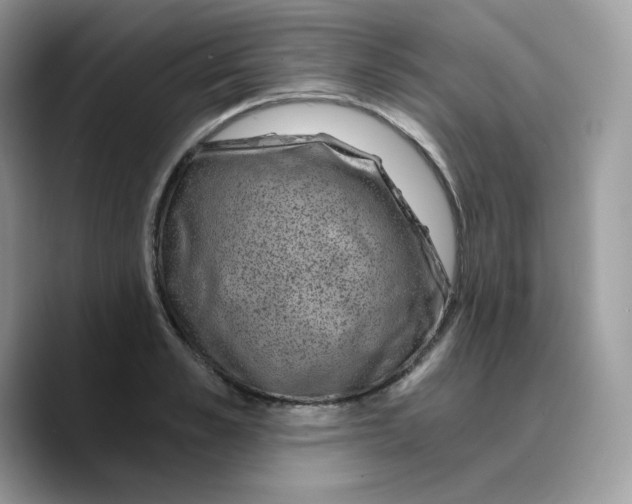 X0000089750989200707201918