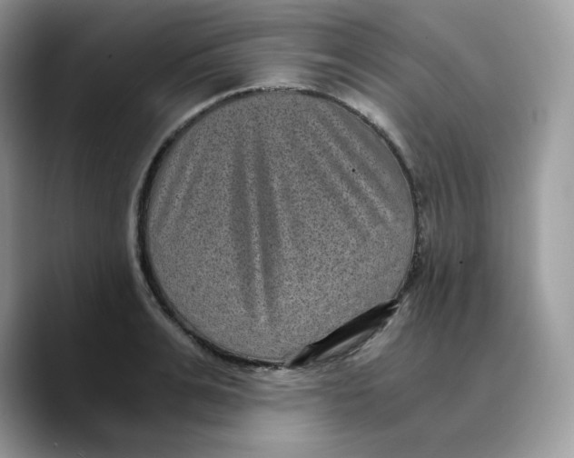 X0000089750991200707201918