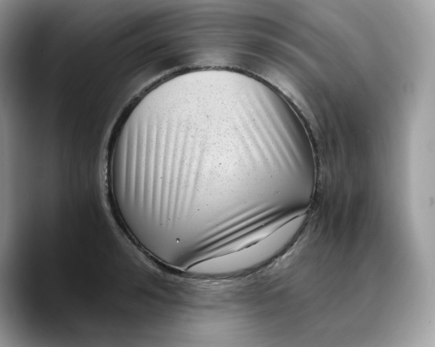 X0000089750992200707201918