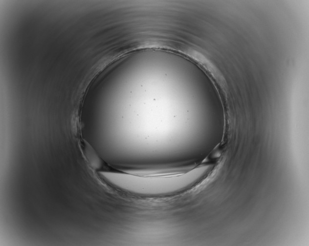 X0000089750993200707201918