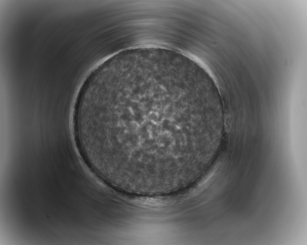 X0000089750995200707201918