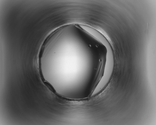 X0000089750996200707201918