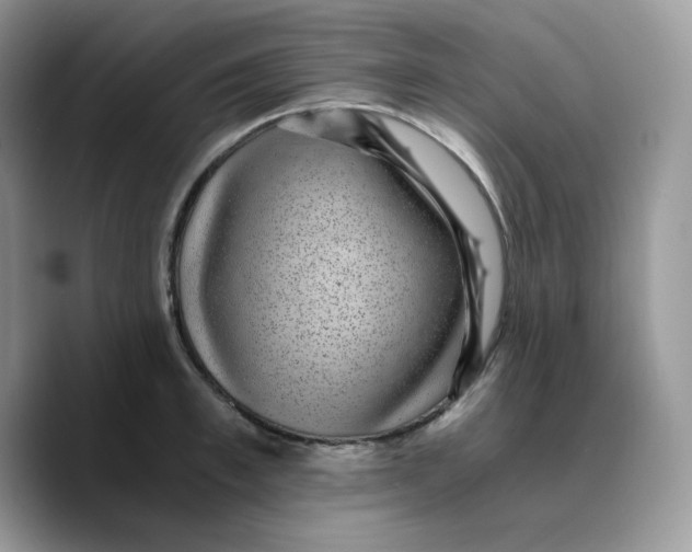 X0000089750997200707201918