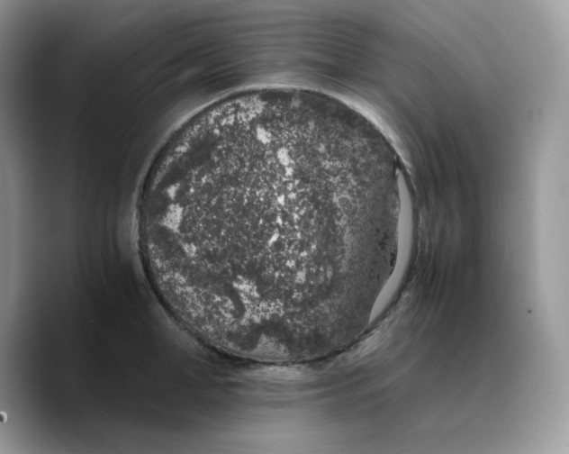 X0000089750998200707201918