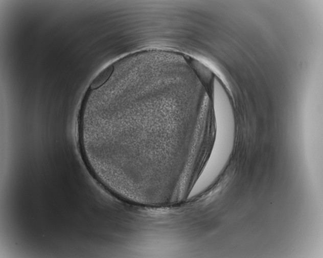 X0000089750999200707201918