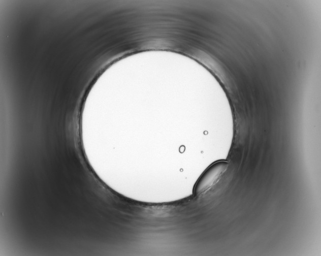 X0000089751000200707201918