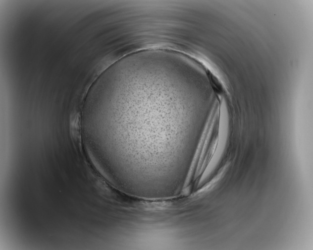 X0000089751001200707201918