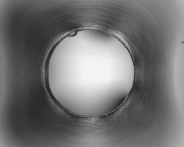 X0000089751003200707201918