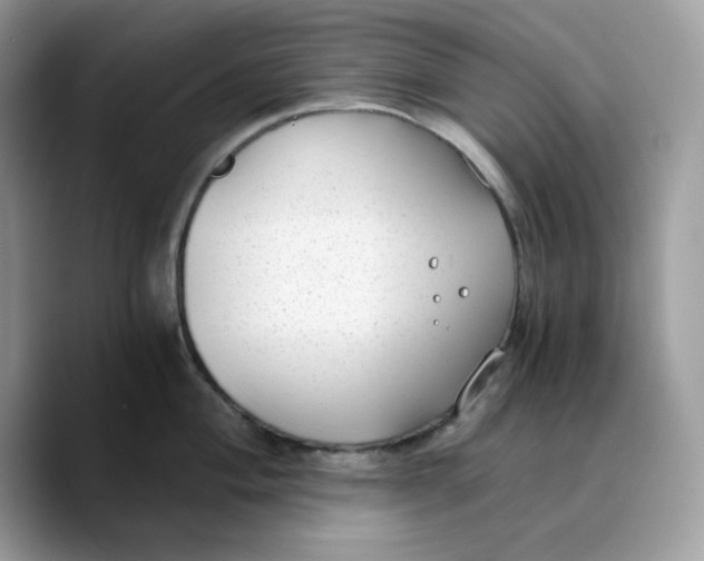 X0000089751004200707201918