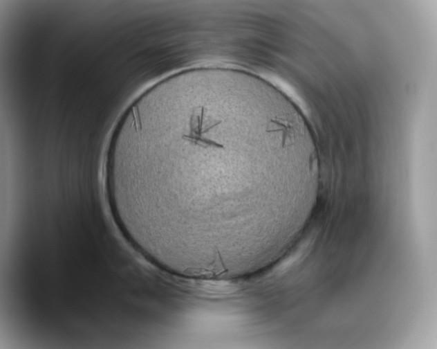 X0000089751007200707201918