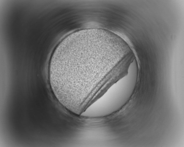 X0000089751008200707201918