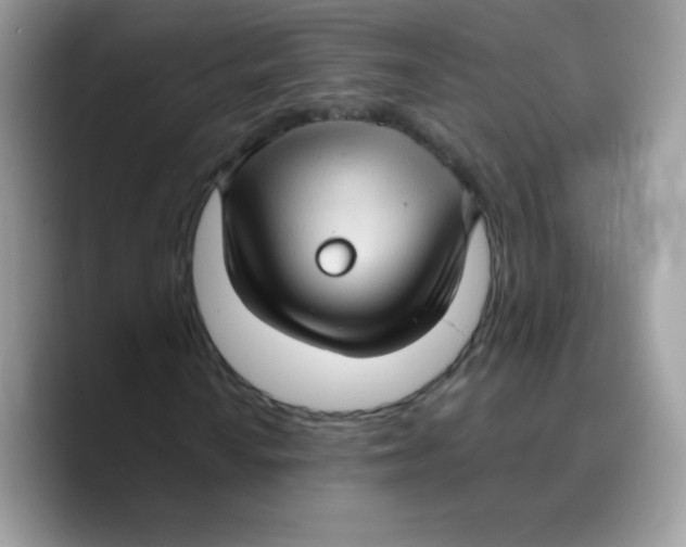 X0000089751010200707201918