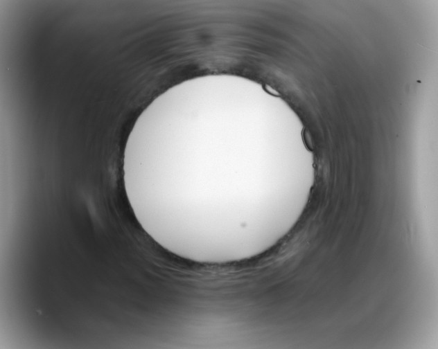 X0000089751012200707201918