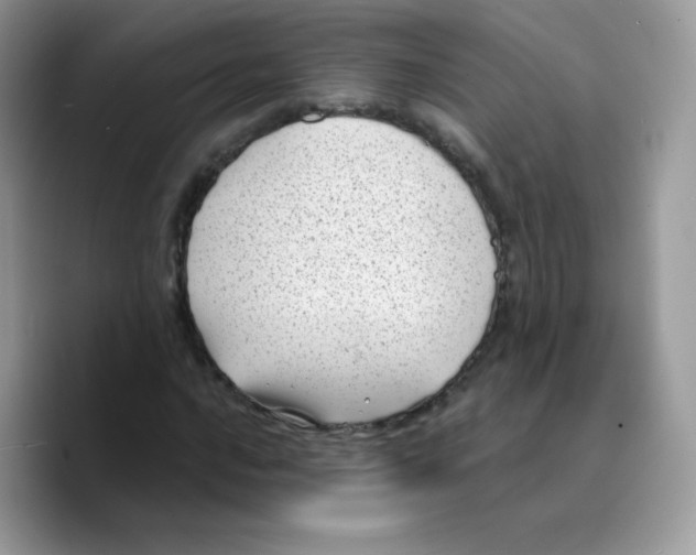 X0000089751016200707201918