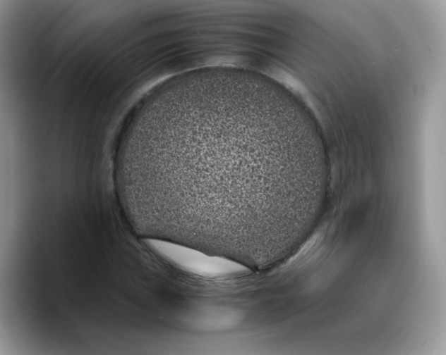 X0000089751019200707201918