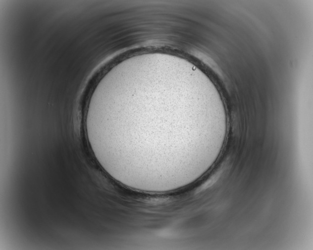 X0000089751021200707201918