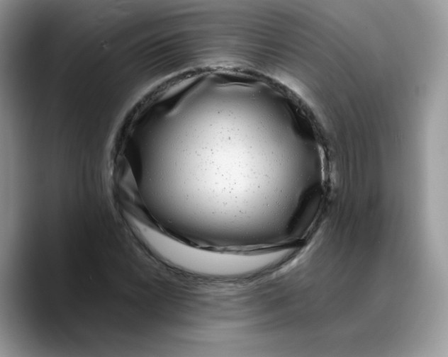 X0000089751022200707201918