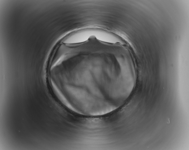 X0000089751024200707201918