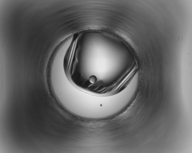 X0000089751026200707201918