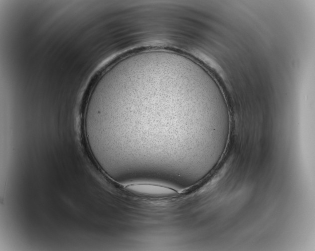 X0000089751029200707201918