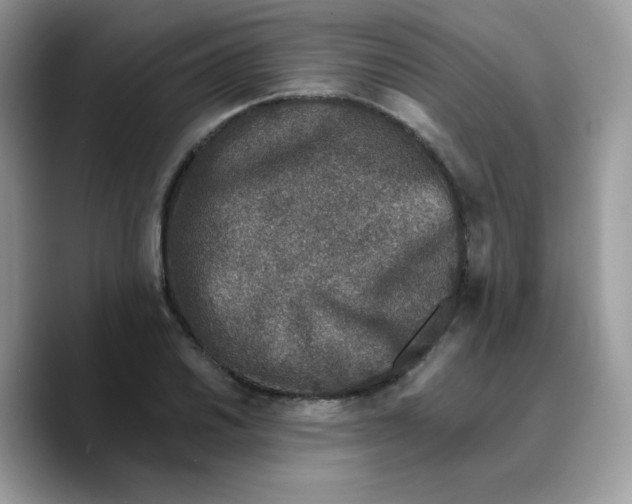 X0000089751030200707201918