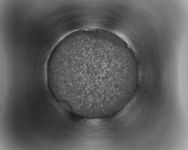 X0000089751031200707201918