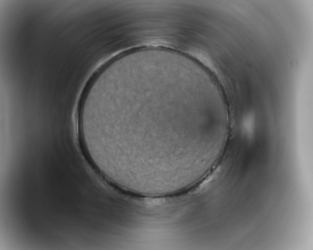 X0000089751032200707201918