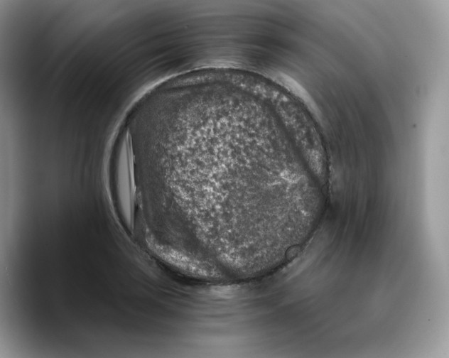 X0000089751035200707201918